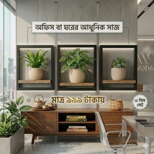 কাঠের ওয়াল সেলফ (3 pcs)